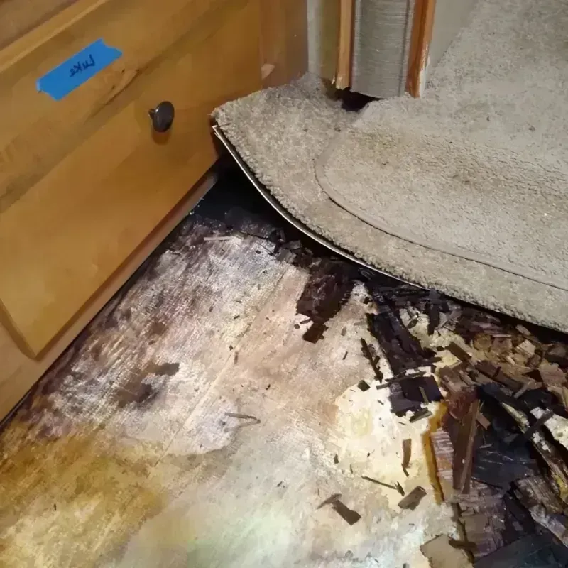 Best Wood Floor Water Damage Service in Woodcliff Lake, NJ